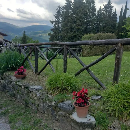 In * Pelago